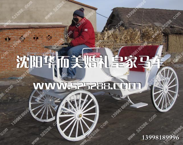 供应电动旅游观光马车